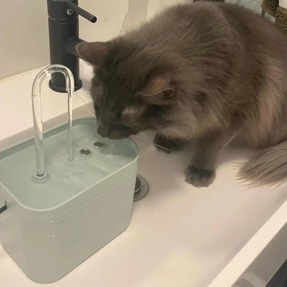 Pet Silent Water Dispenser