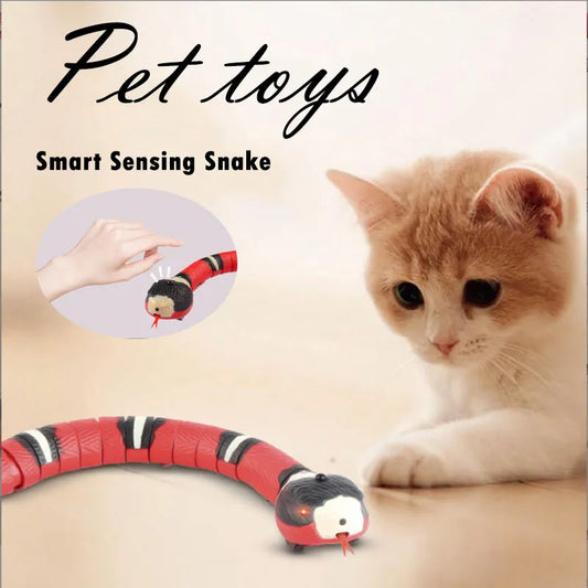 Interactive Snake Cat Toy